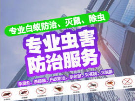廣州消殺四害